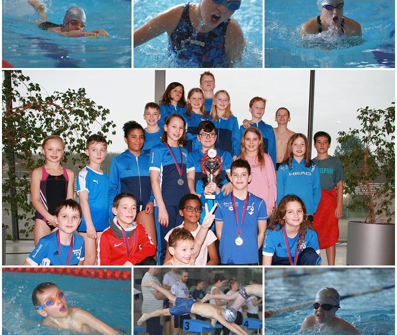 Schwimmfreunde dominieren beim heimischen Nachwuchscup